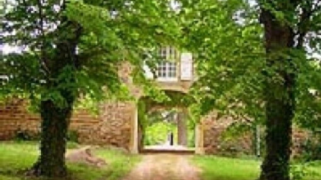 Photo of Outdoor in Perreux