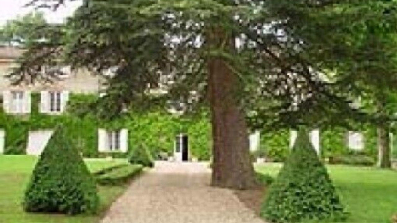 Photo of Outdoor in Perreux