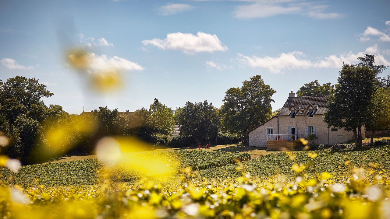 Photo of Outdoor in Mercurey
