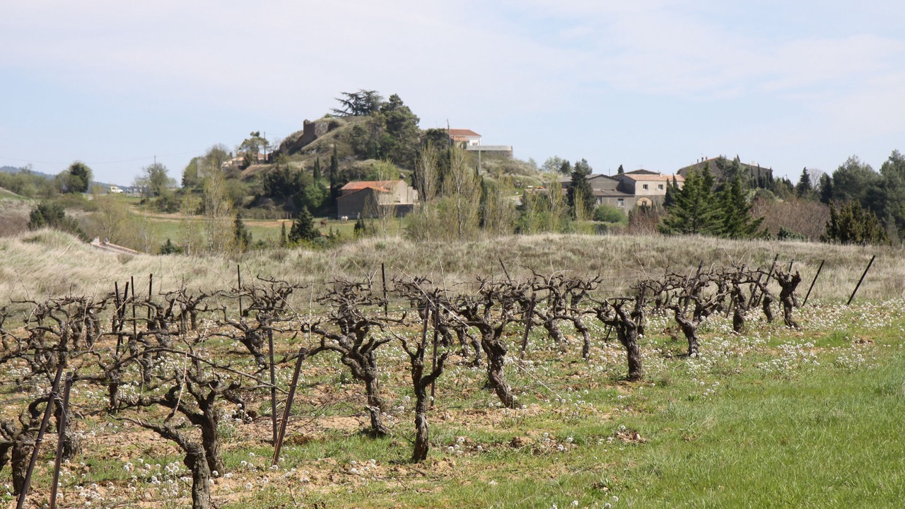 Photo of Outdoor in Montirat