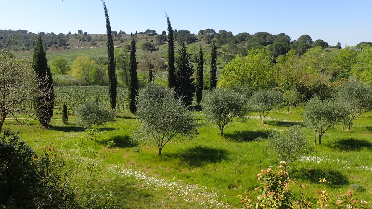 Photo of Others in Montirat