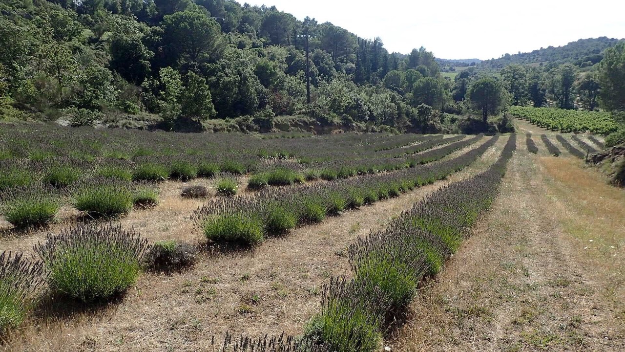 Photo of Outdoor in Montirat