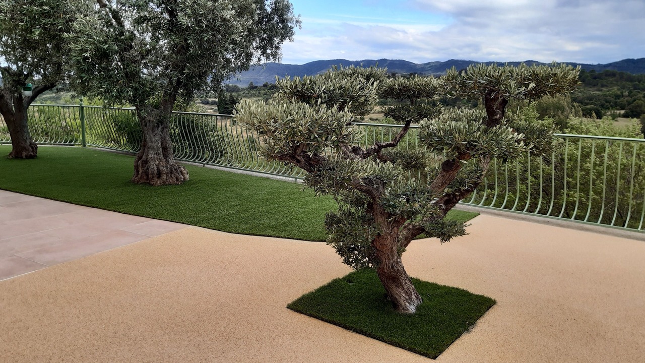 Photo of Outdoor in Montirat