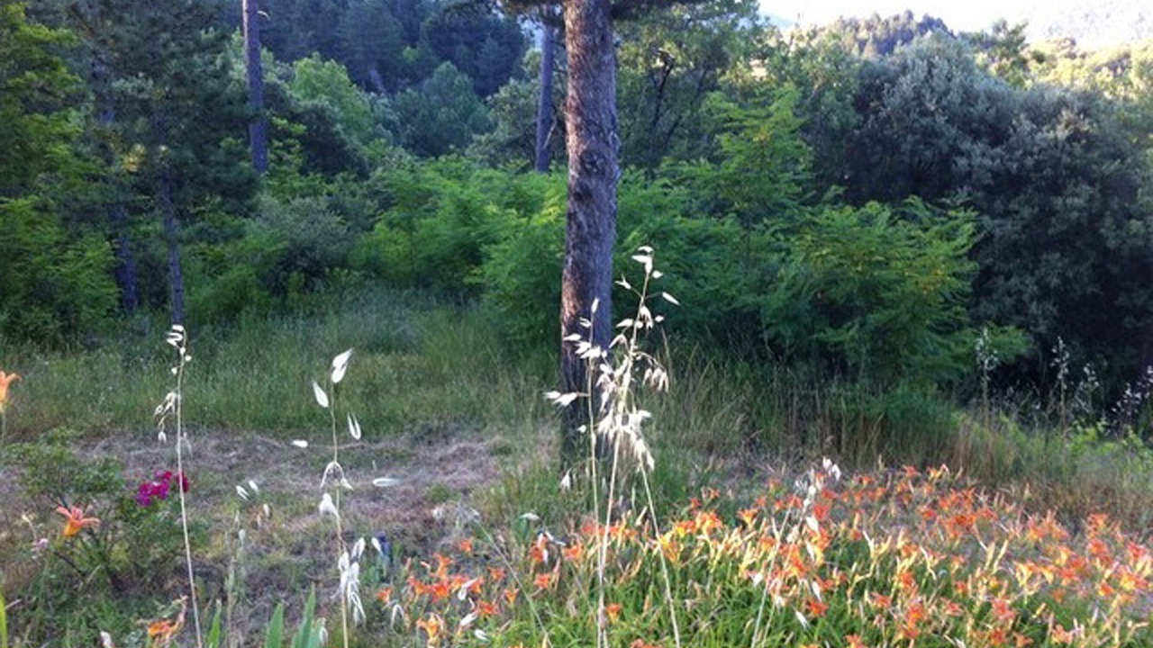 Photo of Outdoor in Saint-Laurent-le-Minier
