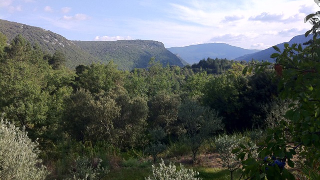 Photo of Outdoor in Saint-Laurent-le-Minier