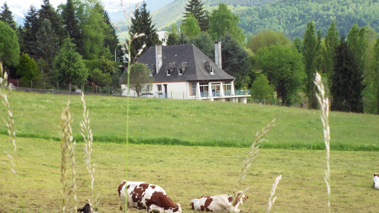 Photo of Outdoor in Lourdes