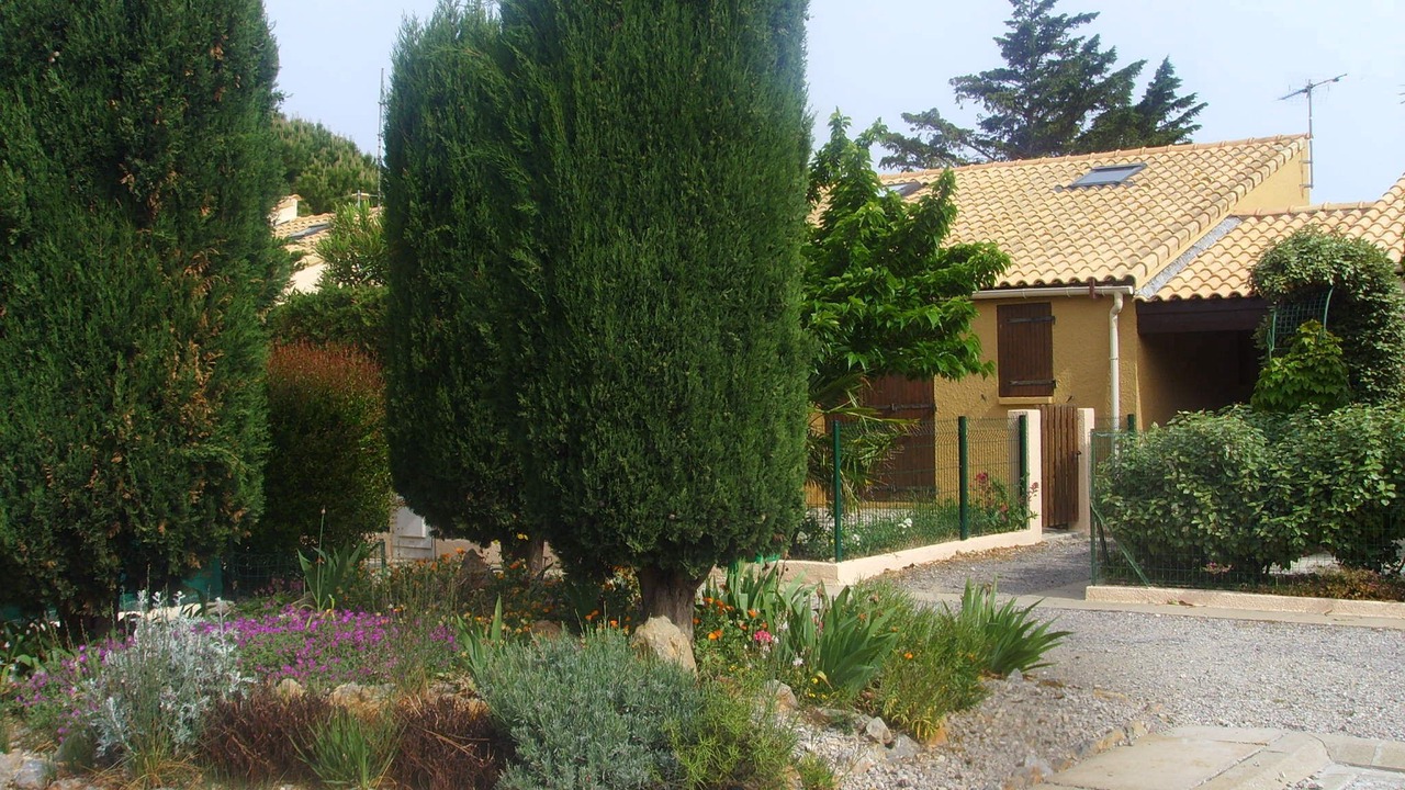 Photo of Outdoor in La Franqui