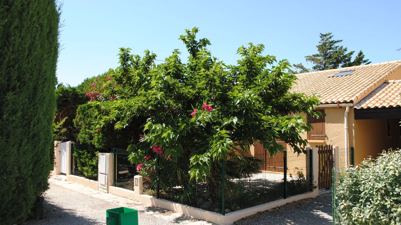 Photo of Outdoor in La Franqui