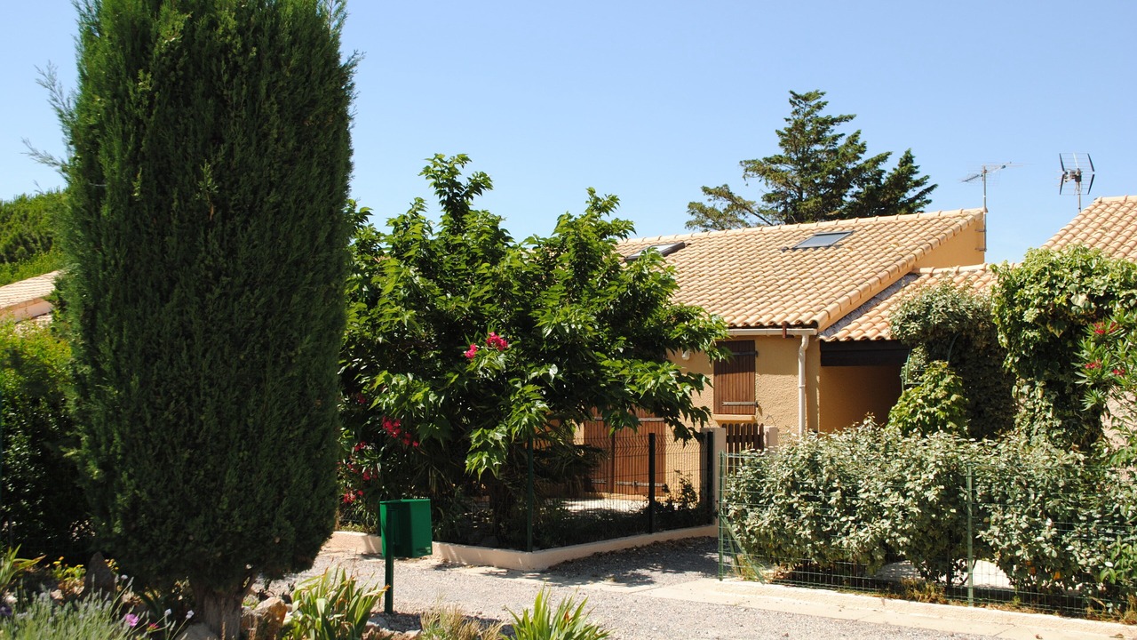 Photo of Outdoor in La Franqui