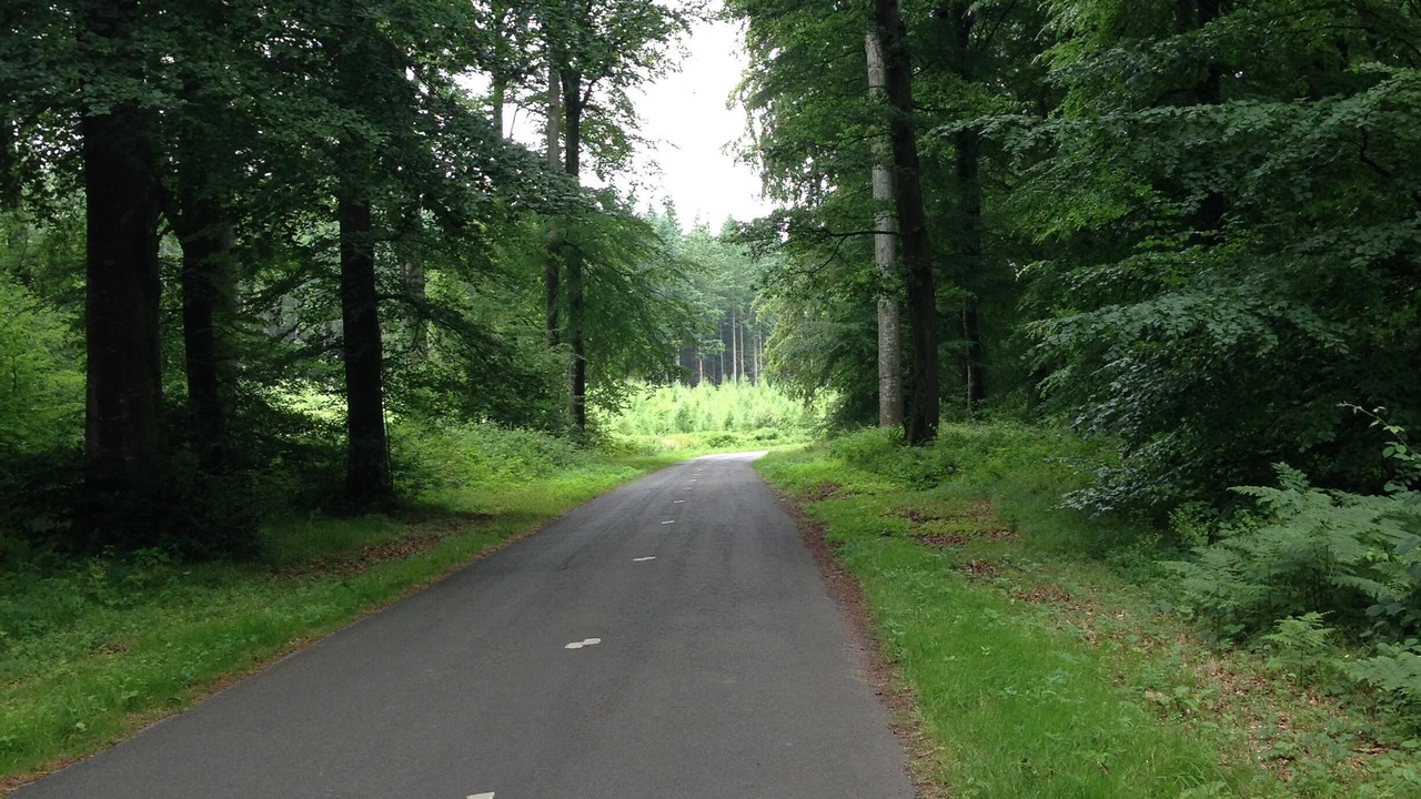 Photo of Outdoor in Millebosc