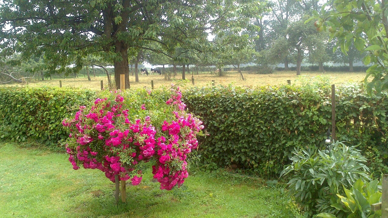 Photo of Outdoor in Millebosc