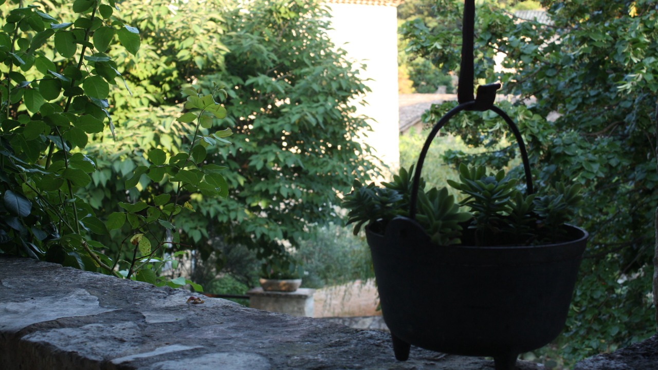 Photo of Outdoor in La Roque-sur-Ceze