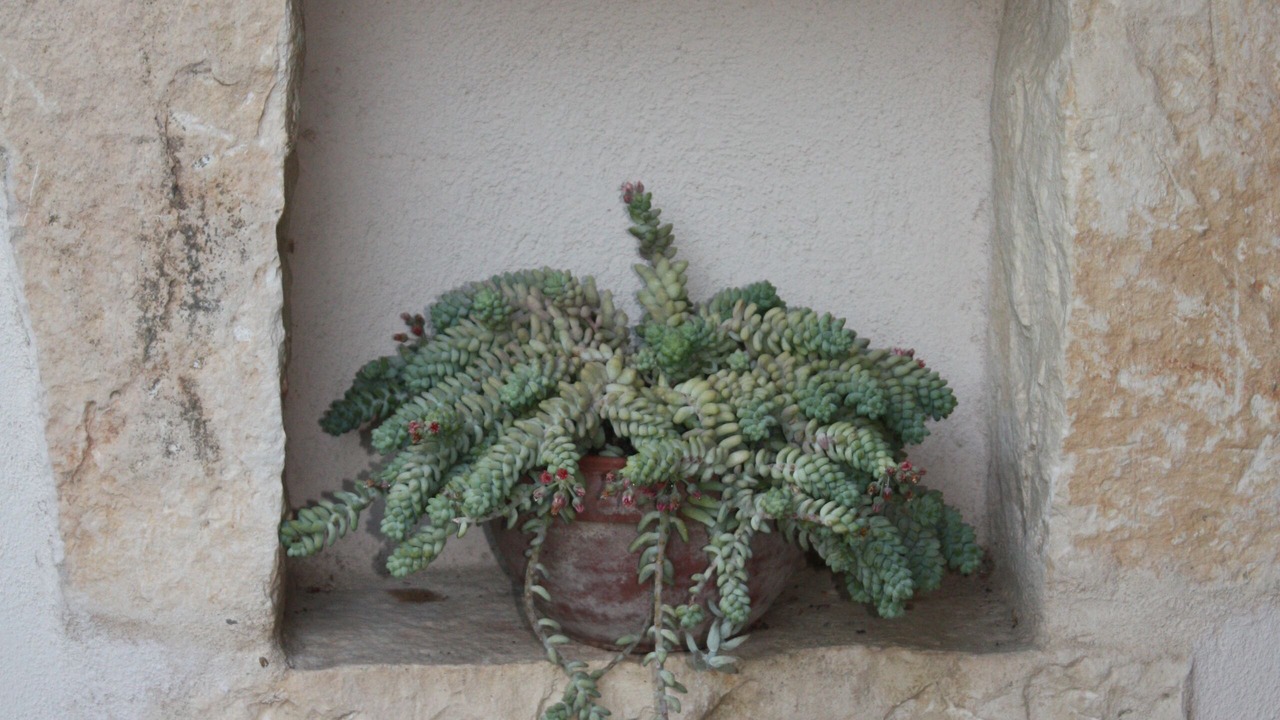 Photo of Outdoor in La Roque-sur-Ceze