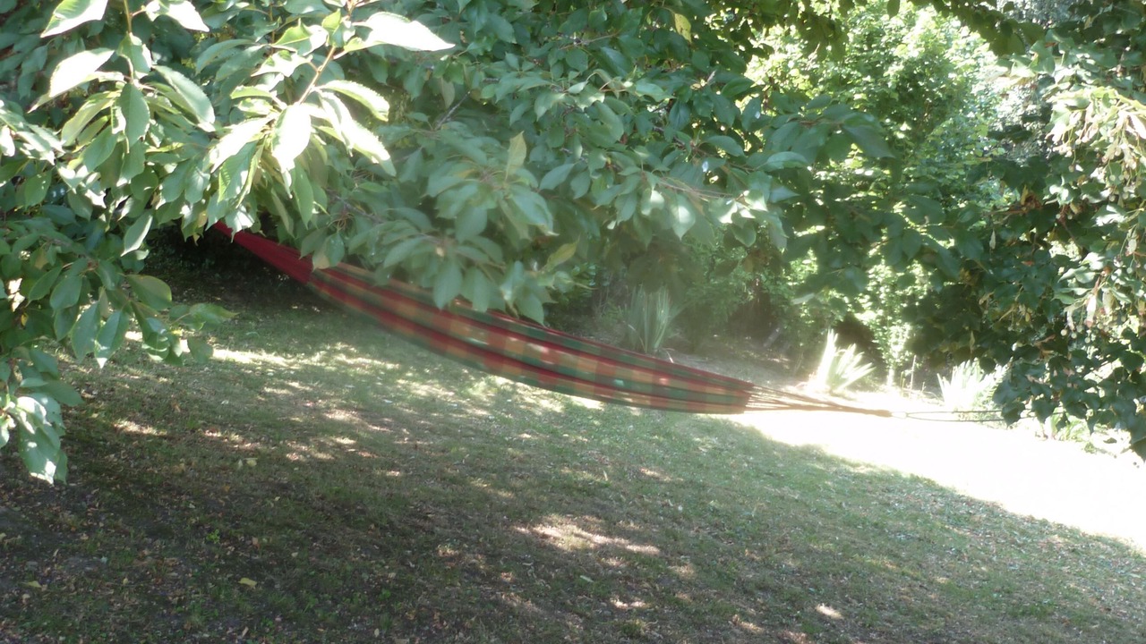 Photo of Outdoor in Saint-Germain-du-Salembre