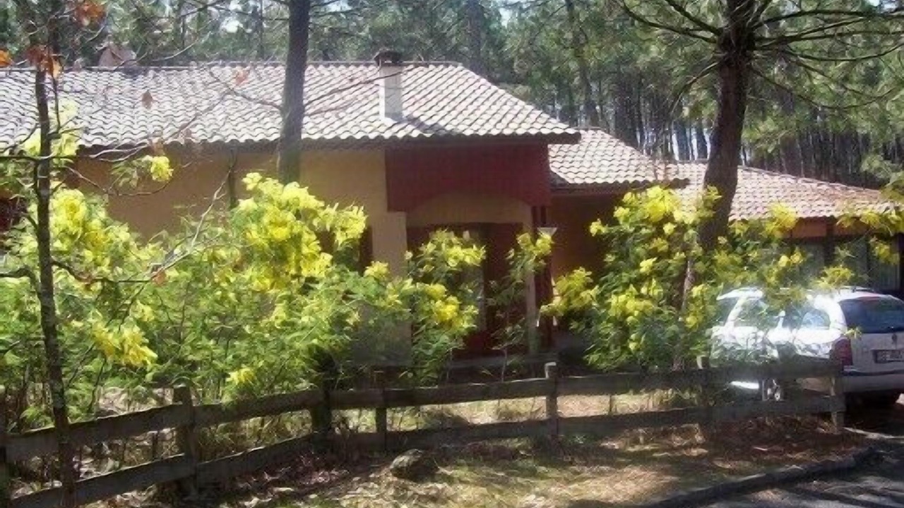 Photo of Outdoor in Moliets-et-Maa