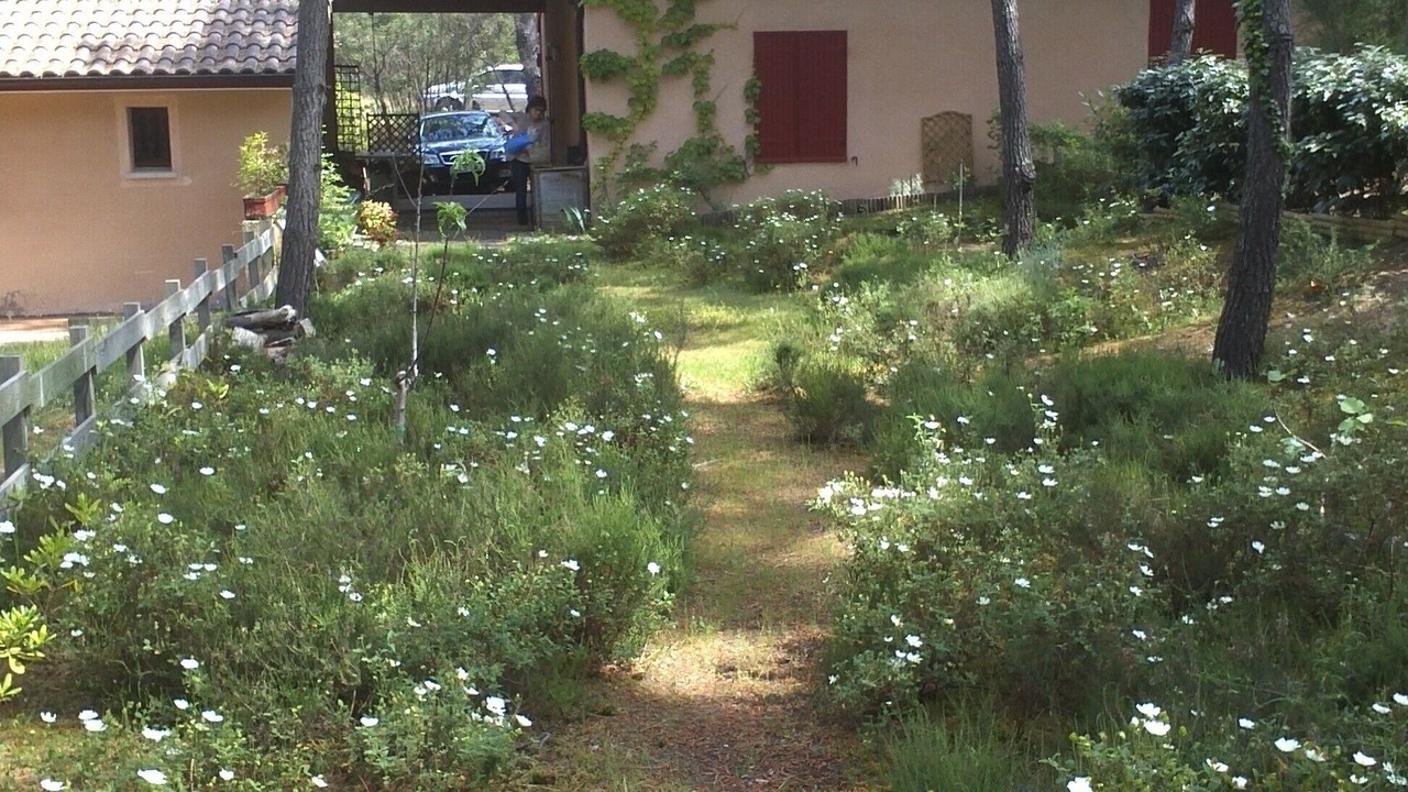 Photo of Outdoor in Moliets-et-Maa