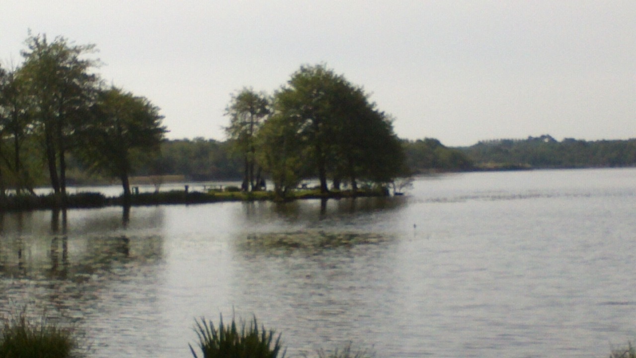 Photo of Outdoor in Moliets-et-Maa