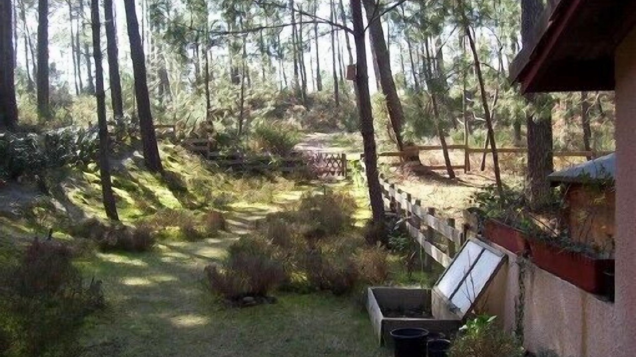 Photo of Outdoor in Moliets-et-Maa