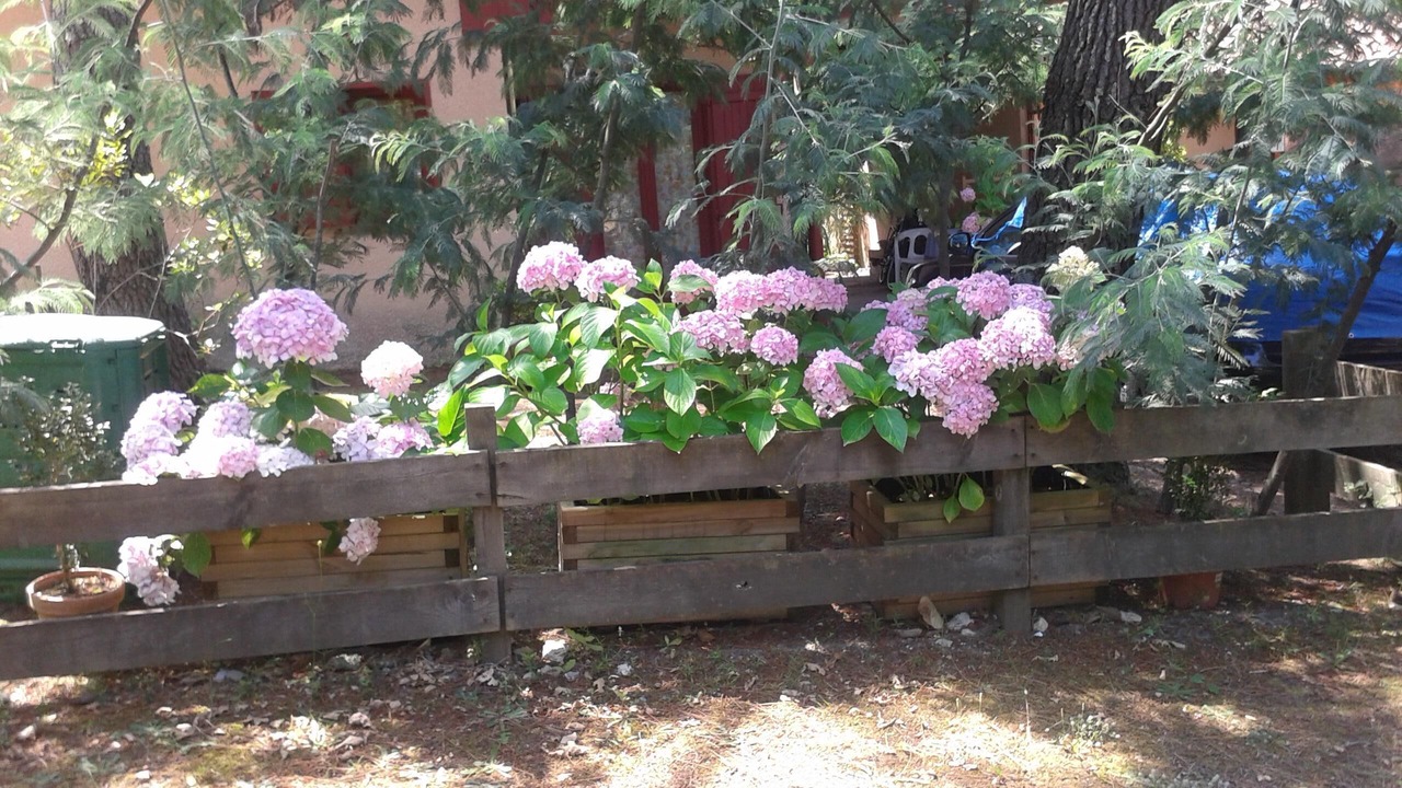 Photo of Outdoor in Moliets-et-Maa