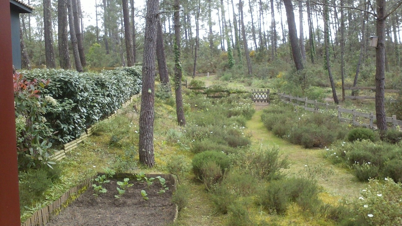 Photo of Outdoor in Moliets-et-Maa