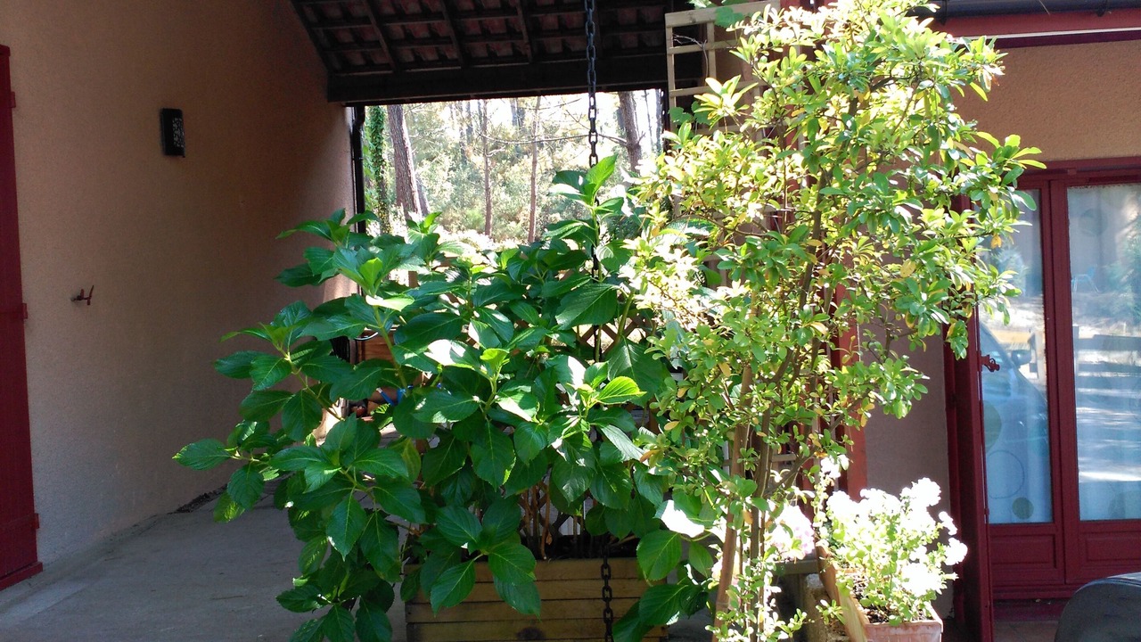Photo of Outdoor in Moliets-et-Maa