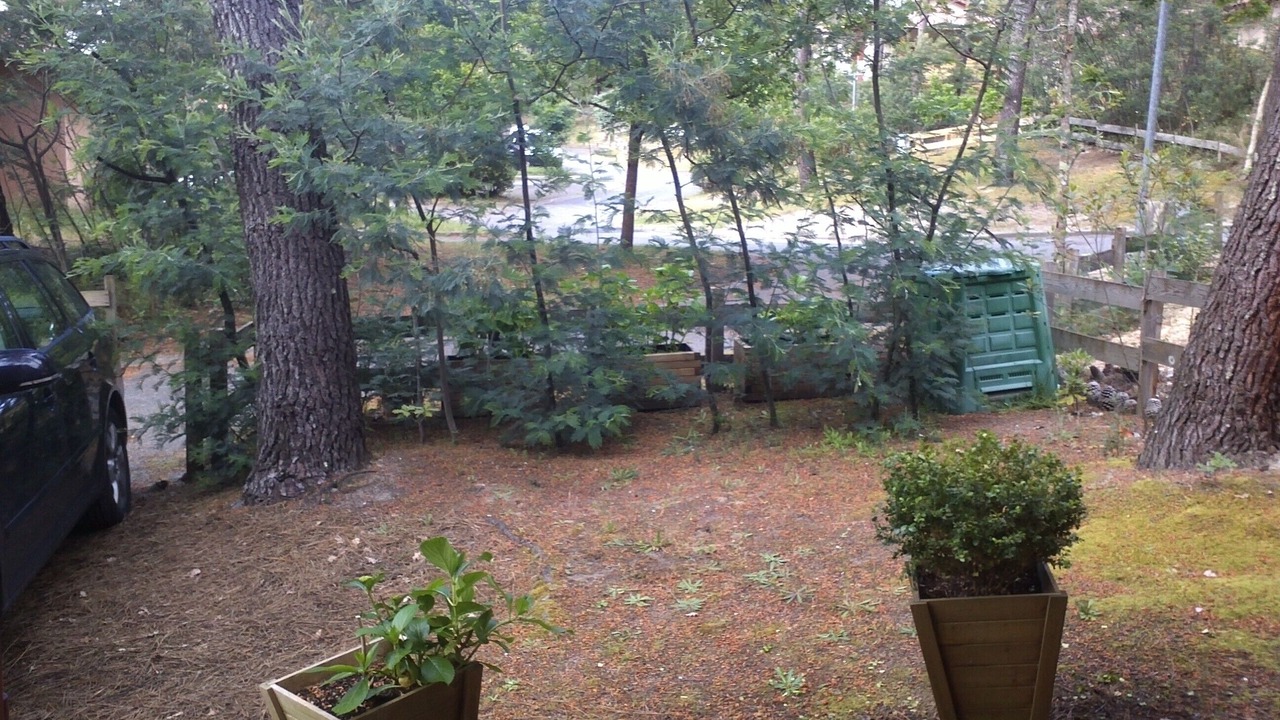 Photo of Outdoor in Moliets-et-Maa