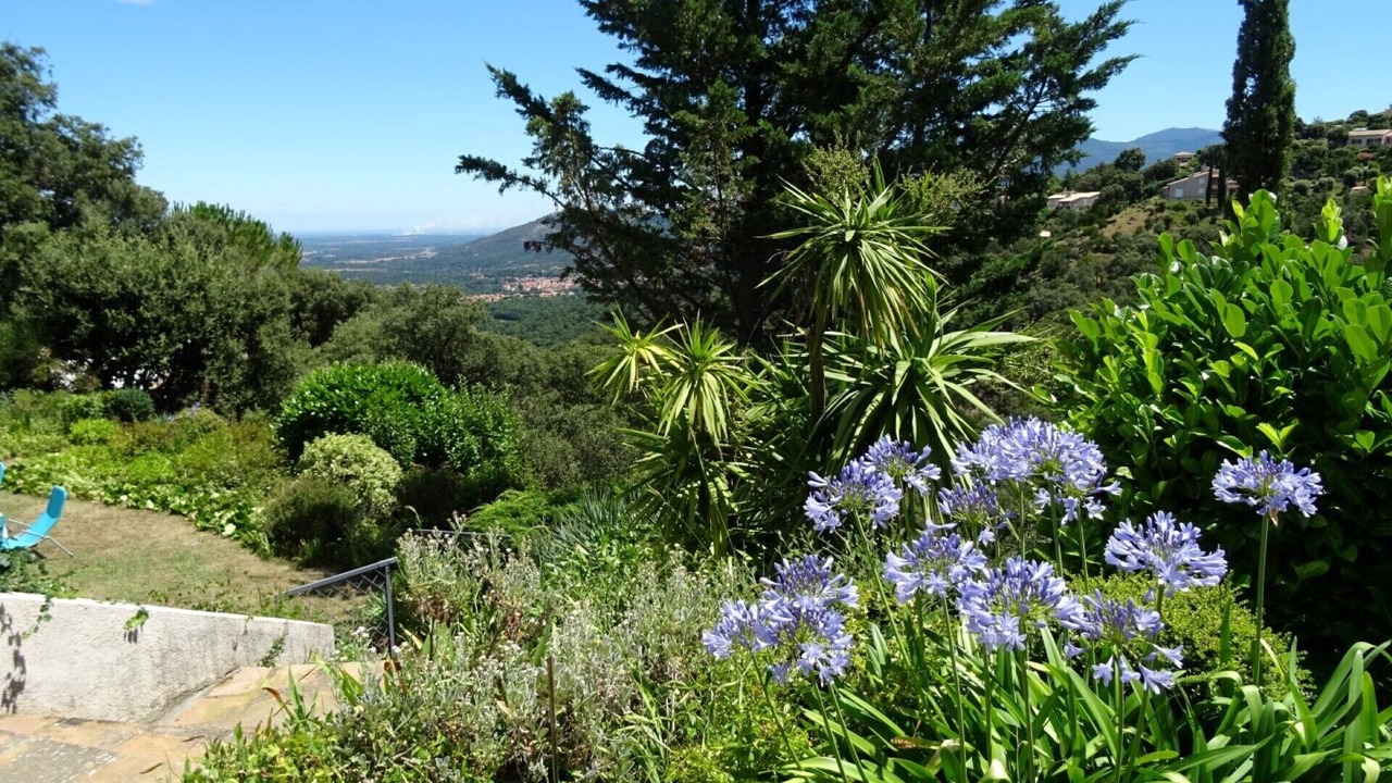 Photo of Outdoor in Ceret