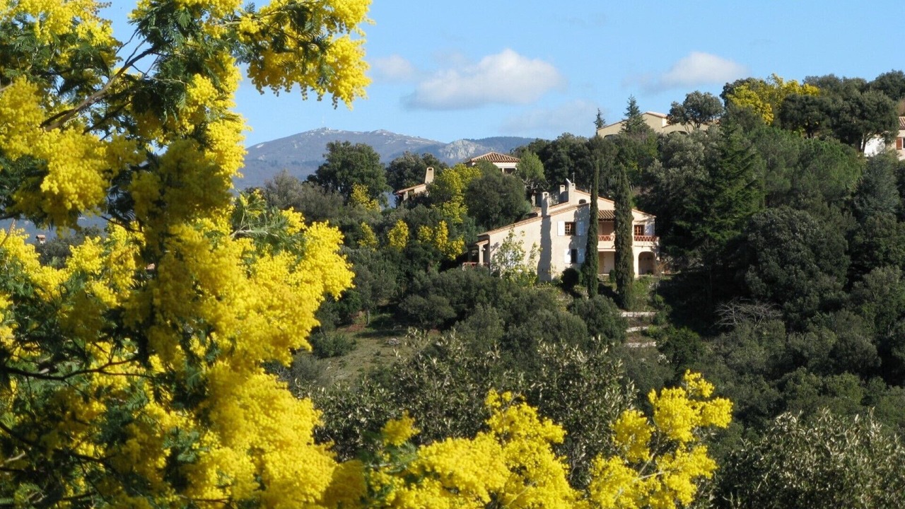 Photo of Outdoor in Ceret