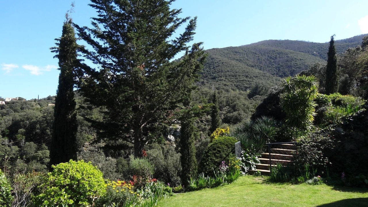 Photo of Outdoor in Ceret