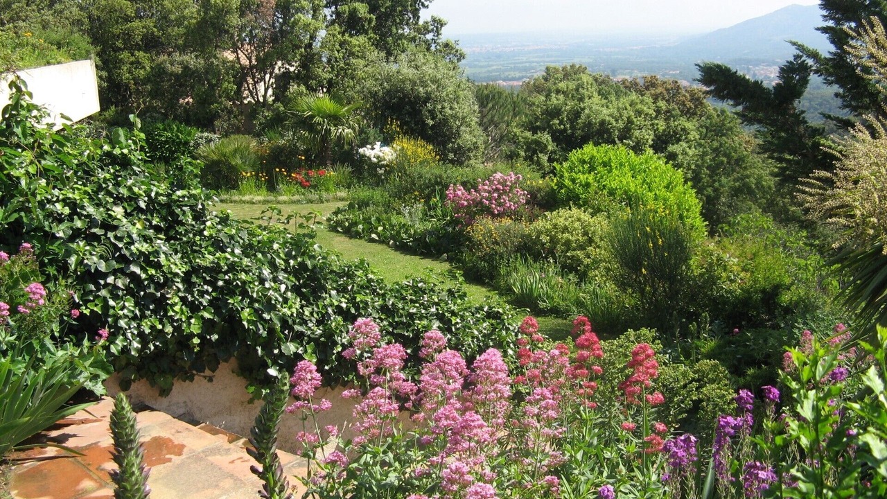 Photo of Outdoor in Ceret