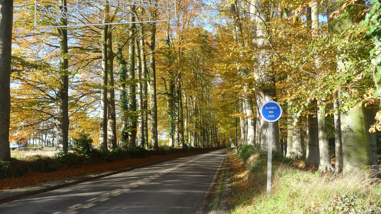 Photo of Outdoor in Offranville