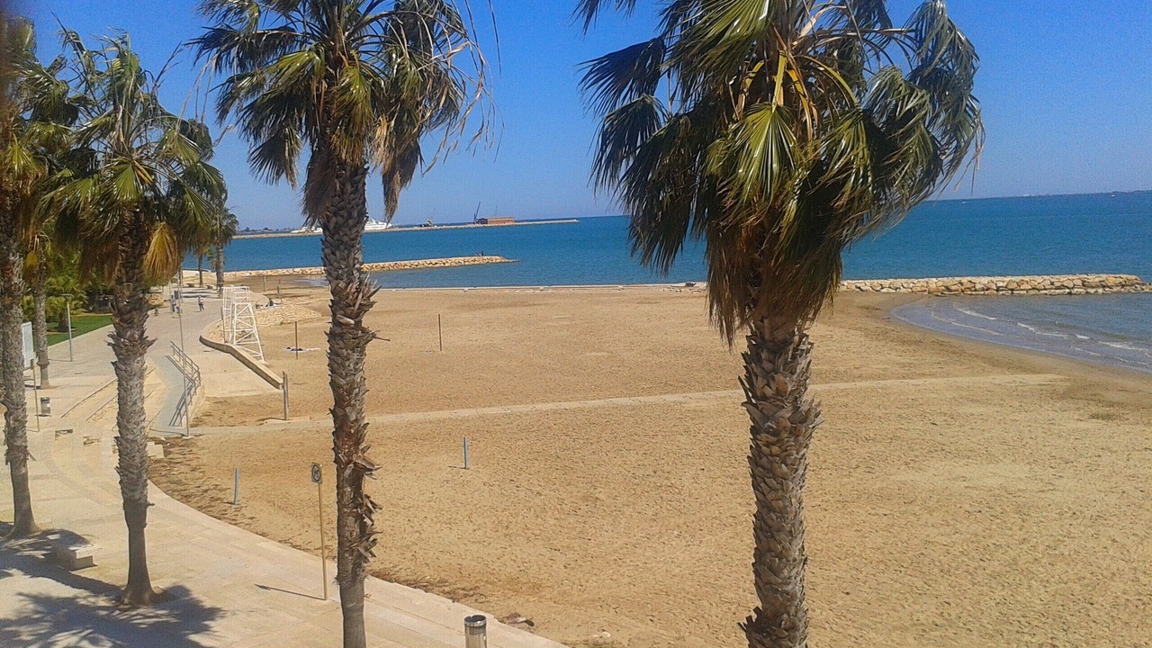 Photo of Others in Sant Carles de la Rapita