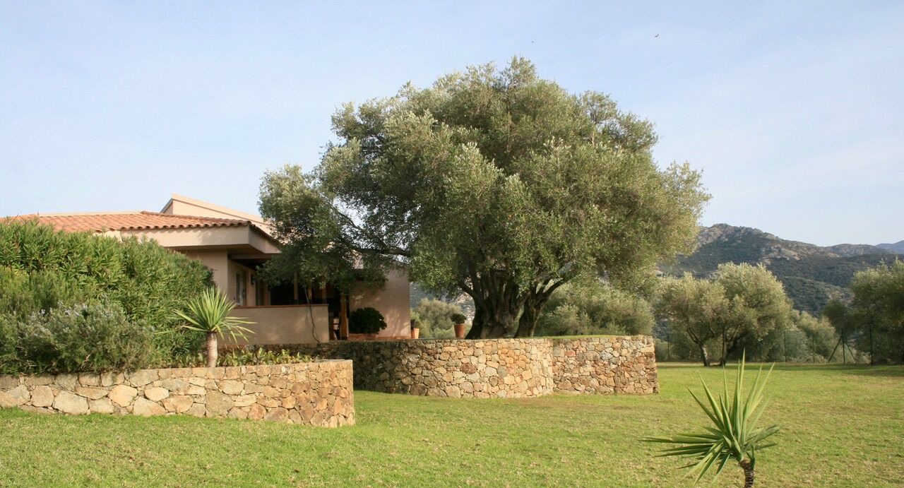 Photo of Outdoor in Occhiatana