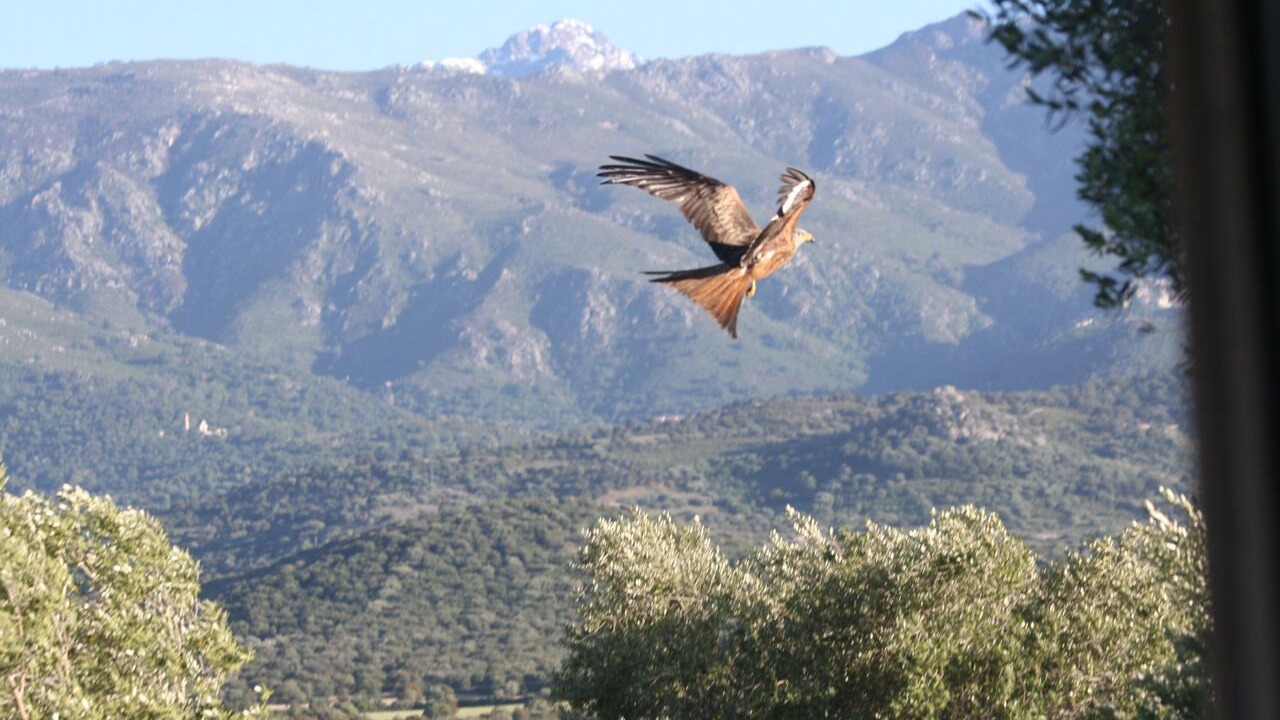 Photo of Outdoor in Occhiatana