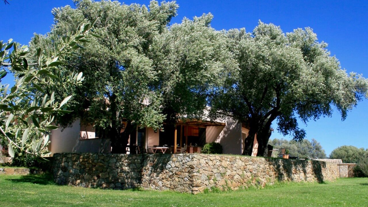 Photo of Outdoor in Occhiatana