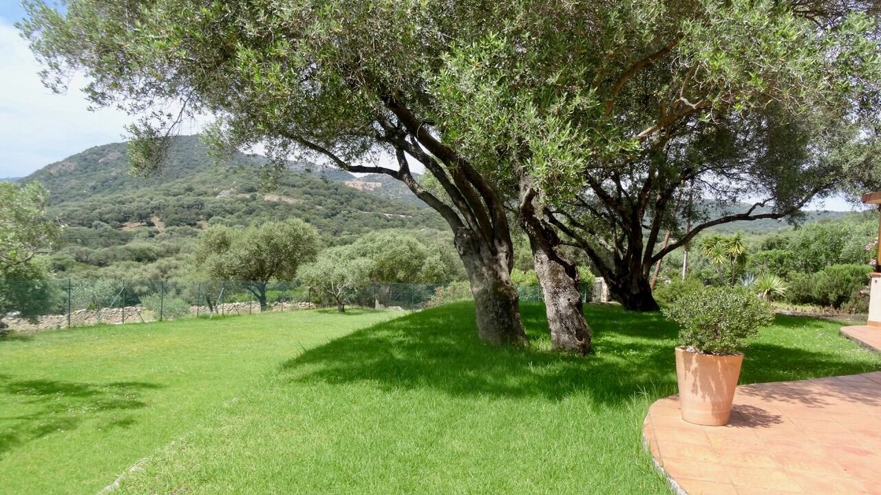 Photo of Outdoor in Occhiatana