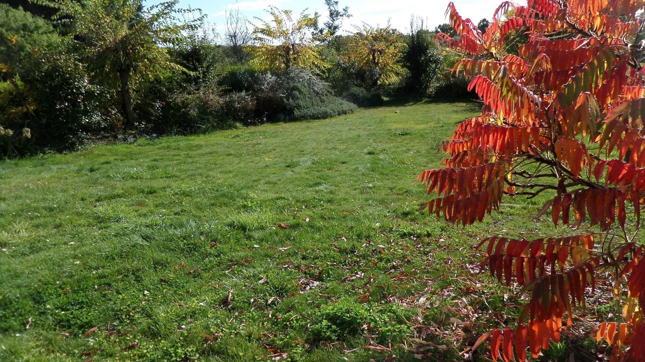 Photo of Outdoor in Lancieux