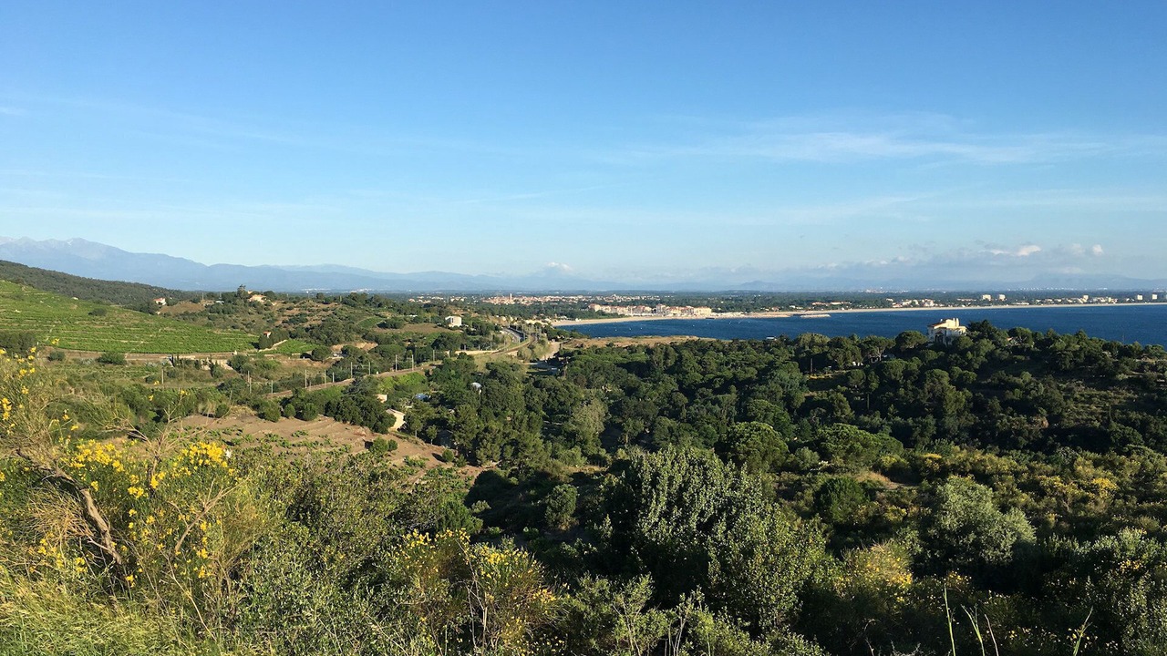 Photo of Others in Plage d'Argeles
