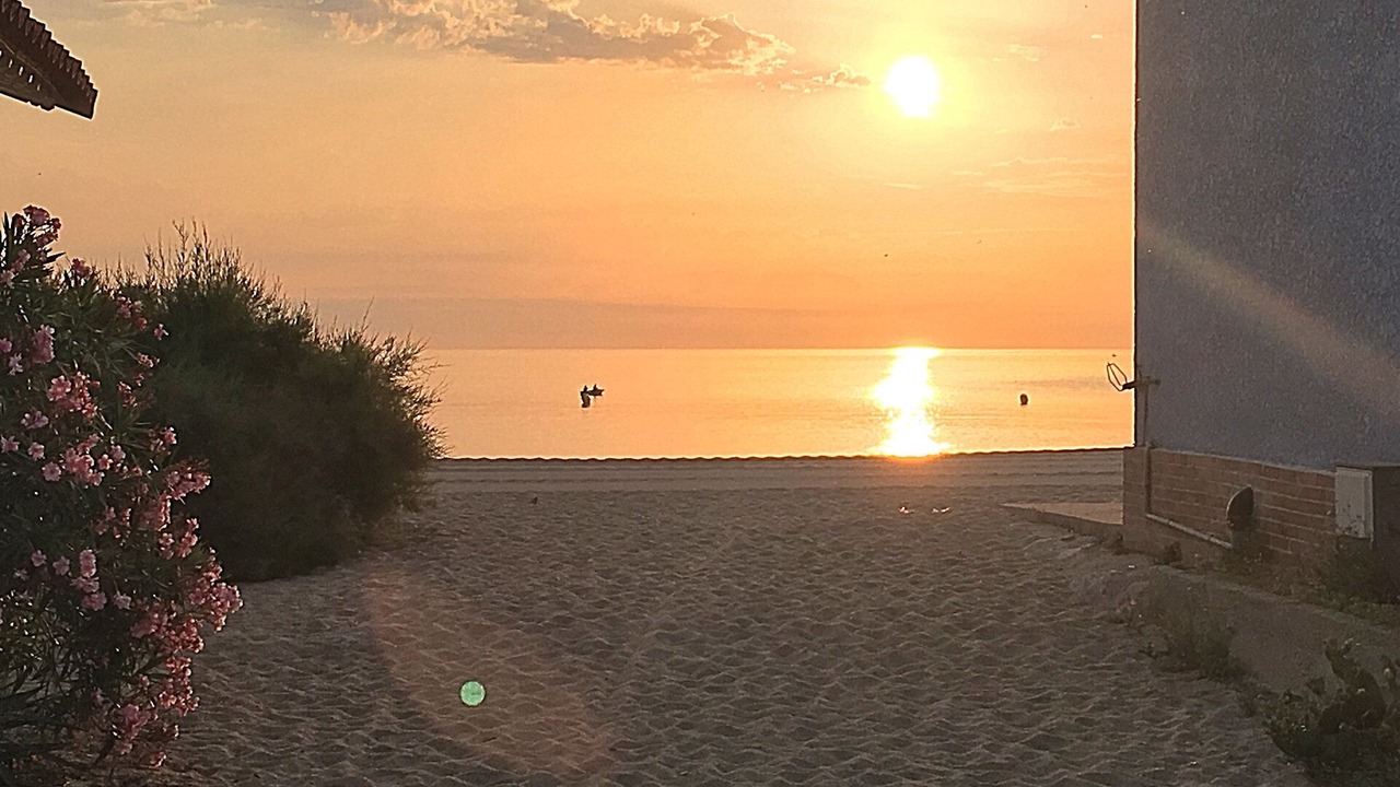 Photo of Others in Plage d'Argeles