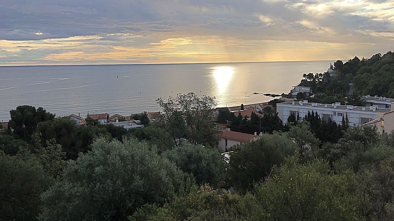 Photo of Others in Plage d'Argeles