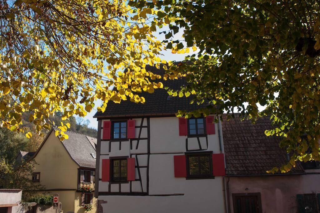 Photo of Outdoor in Kaysersberg