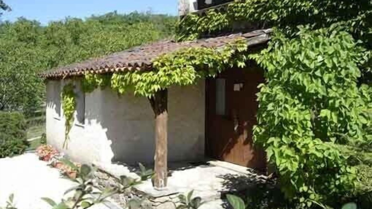 Photo of Outdoor in Albas