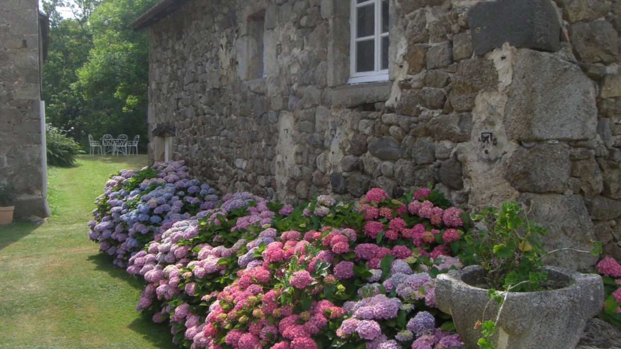 Photo of Outdoor in Saint-Jeure-d'Ay