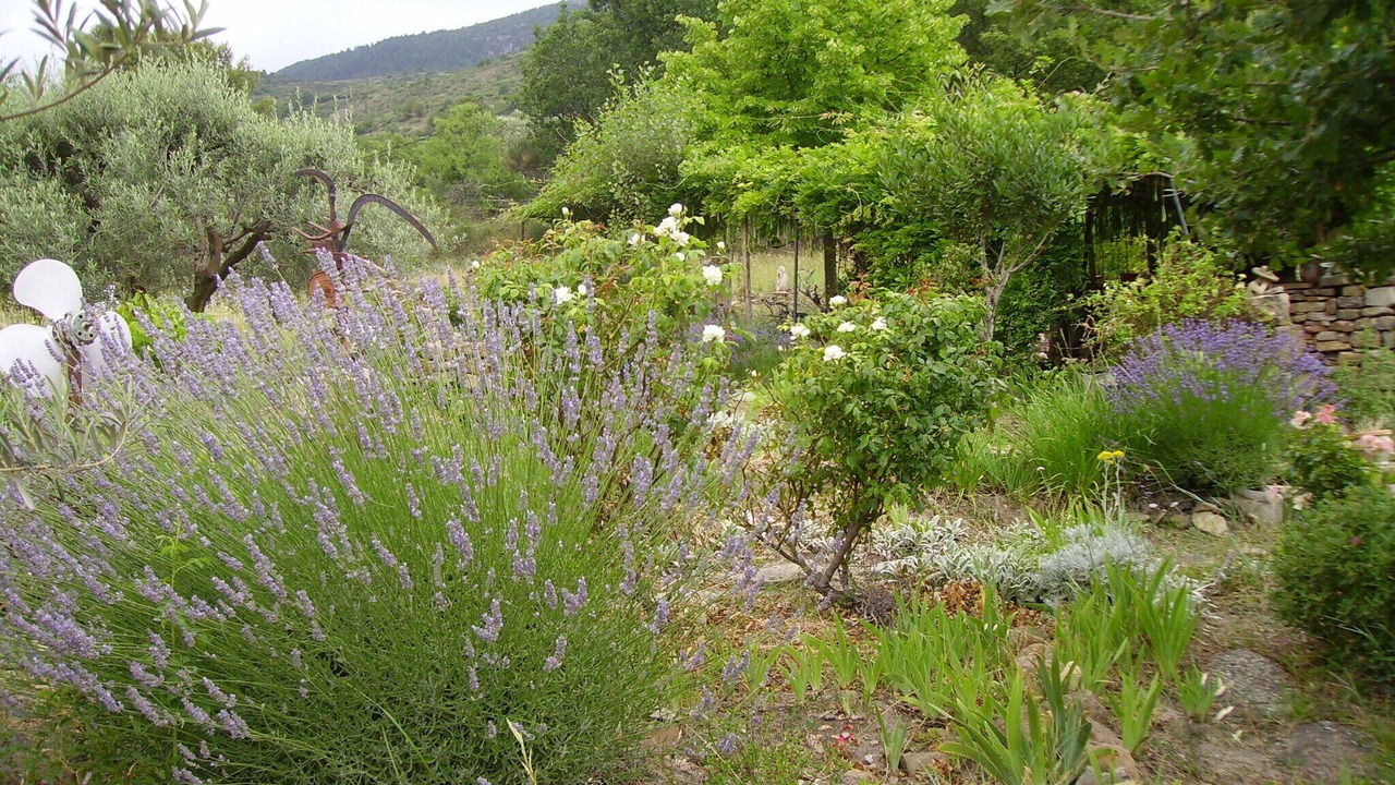 Photo of Outdoor in Saint-Privat