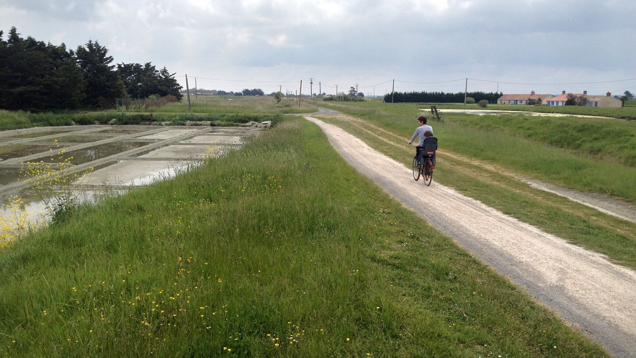 Photo of Others in Bouin