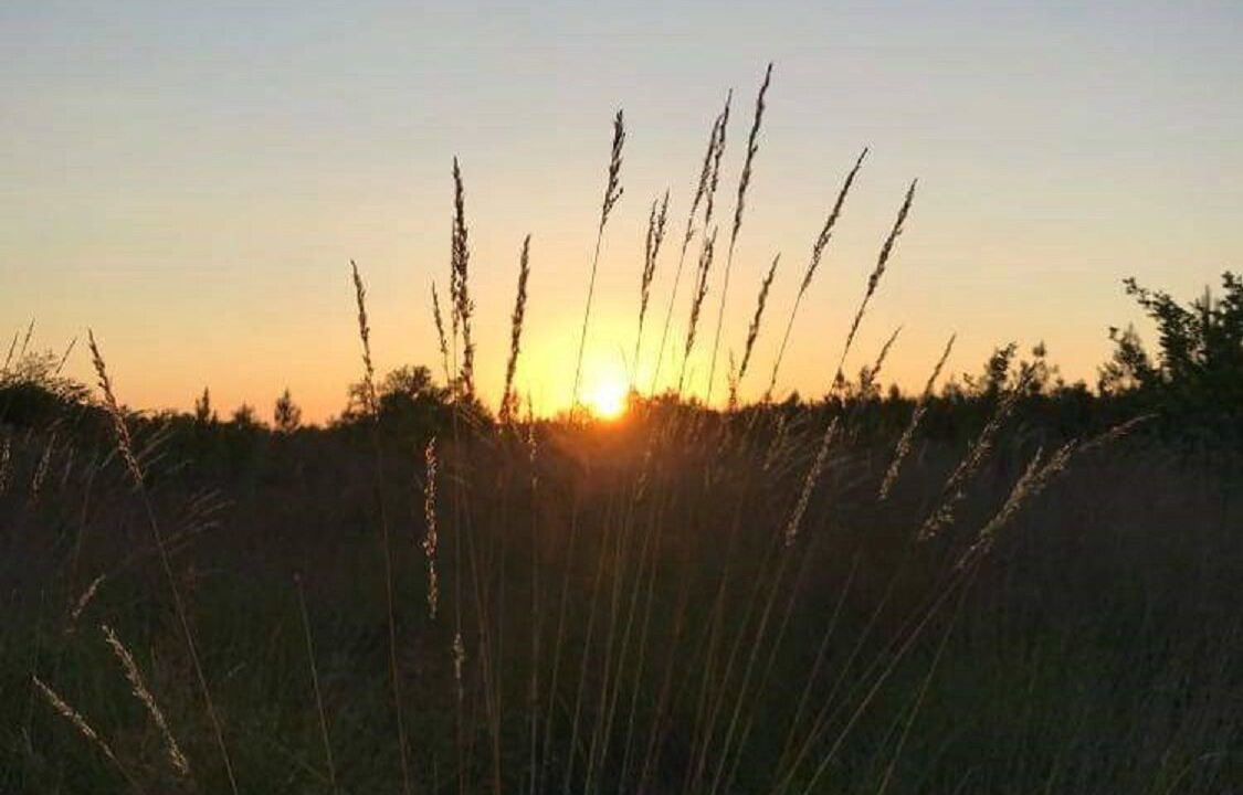 Photo of Outdoor in Luglon