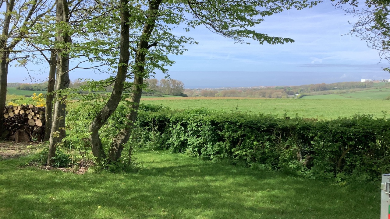 Photo of Others in Wimille