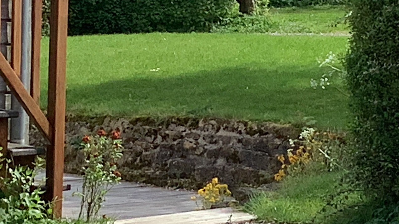 Photo of Outdoor in Wimille