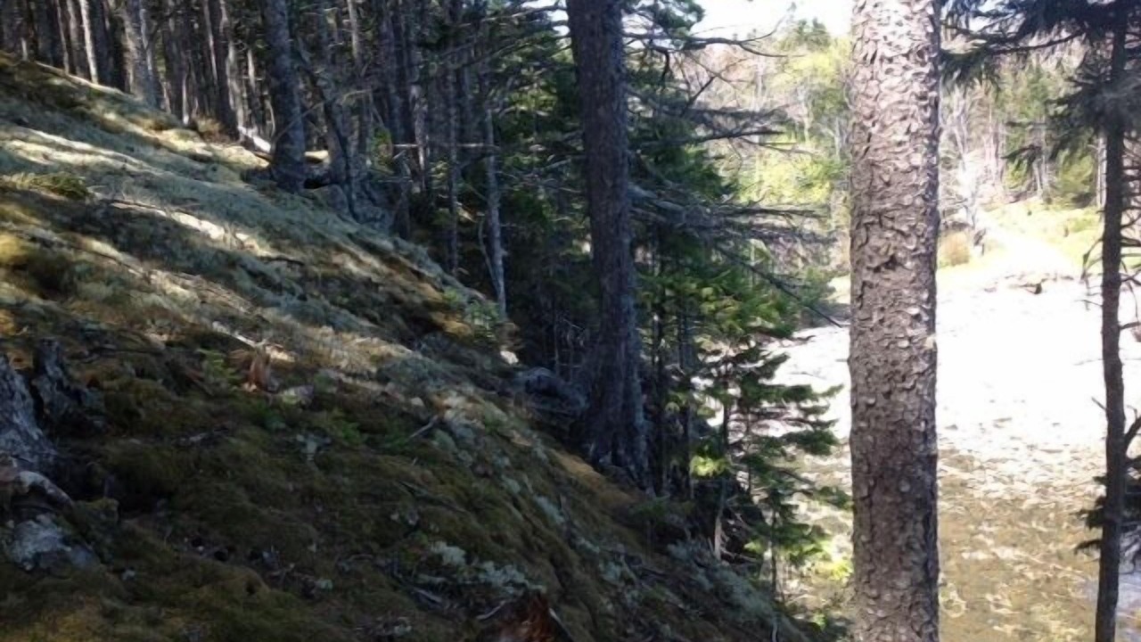 Photo of Others in Islesboro