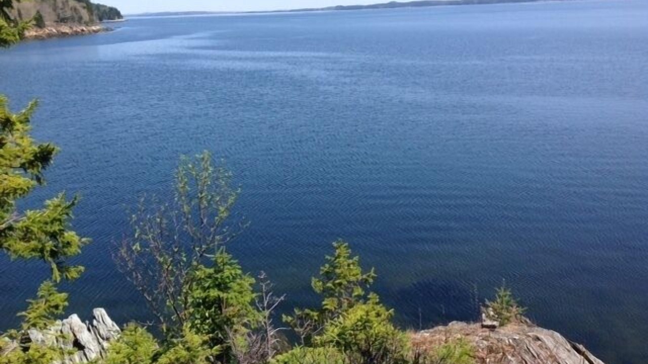 Photo of Others in Islesboro